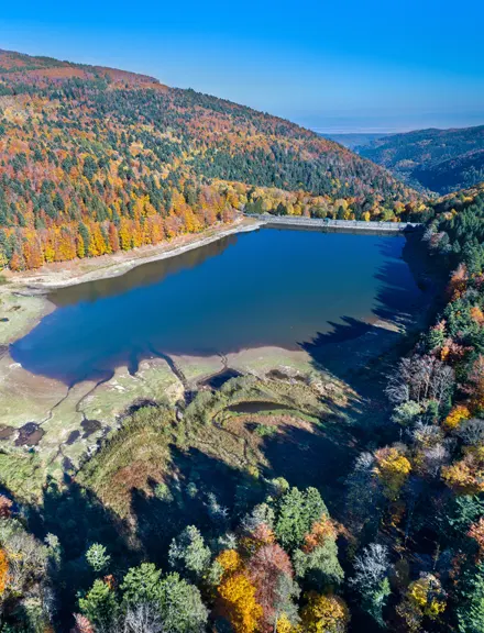 Les Vosges, une des meilleures destinations de vacances