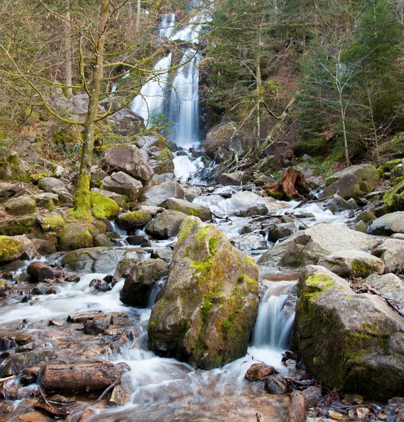 cascade de Tendon